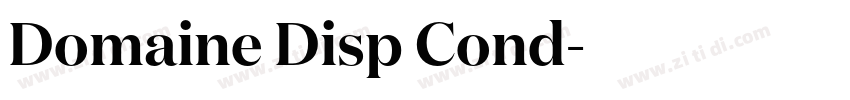 Domaine Disp Cond字体转换
